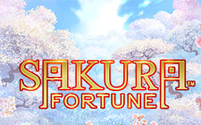 Играть в Игровой автомат Sakura Fortune