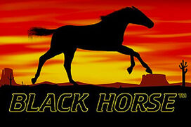 Играть в Black Horse