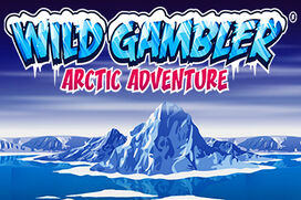 Играть в Wild Adventure